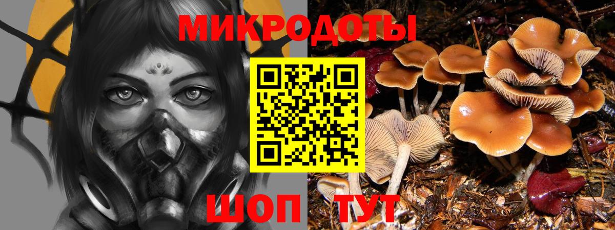 Галлюциногенные грибы MAGIC MUSHROOMS  Вход с VPN  Новодвинск 